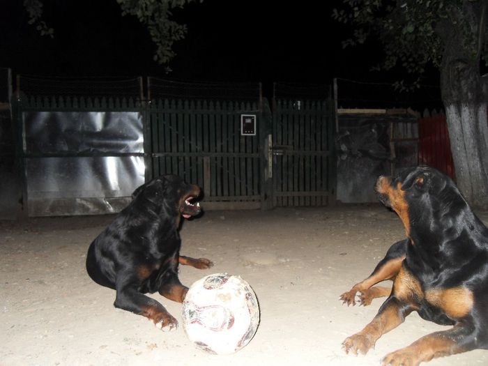 catei...25-08-2013 035