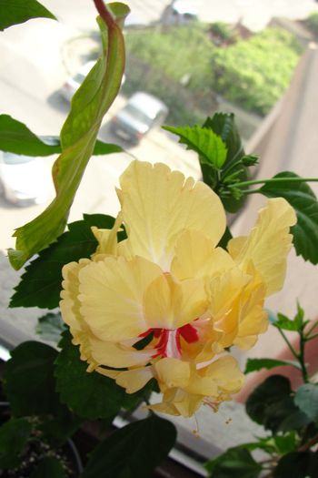 DSC04779