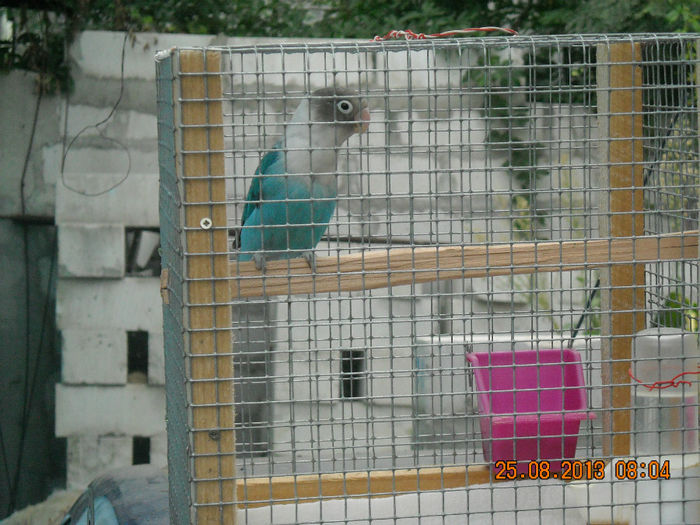 DSCN0018