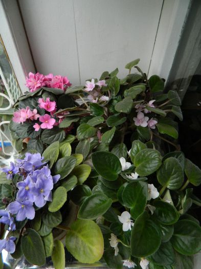 DSCN0273 - AUGUST 2 2013