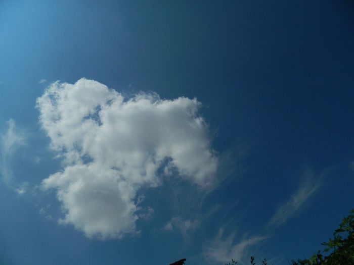 DSCN0379