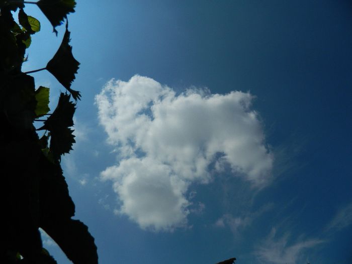 DSCN0380