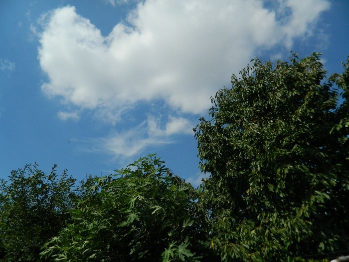 DSCN0408 - AUGUST 2 2013