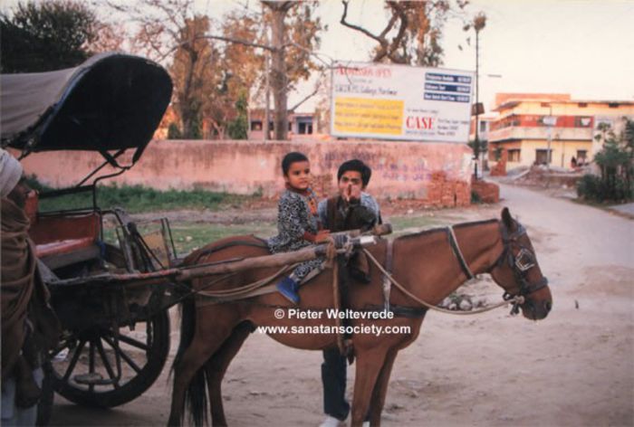 india_transport_horse2_jpg - Transportul in India