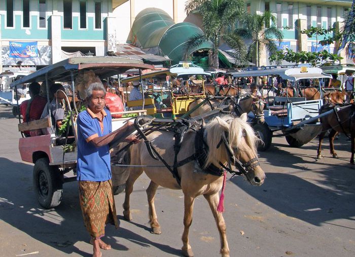 Lombok-Horse - Transportul in India