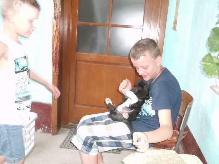 vedeta dupa doua zile - NEPOTII IN TIMPUL LIBER