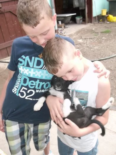 regret, eu trebuie sa plec in Germania - NEPOTII IN TIMPUL LIBER