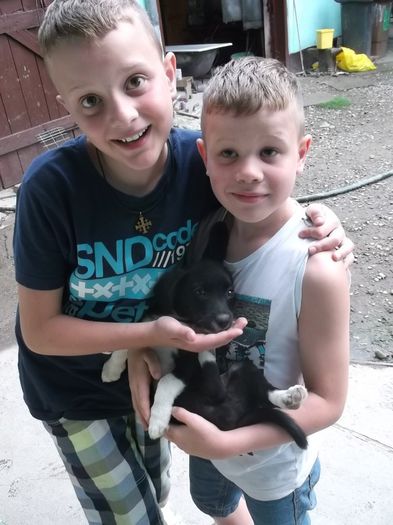 trei dulci si toti trei - NEPOTII IN TIMPUL LIBER