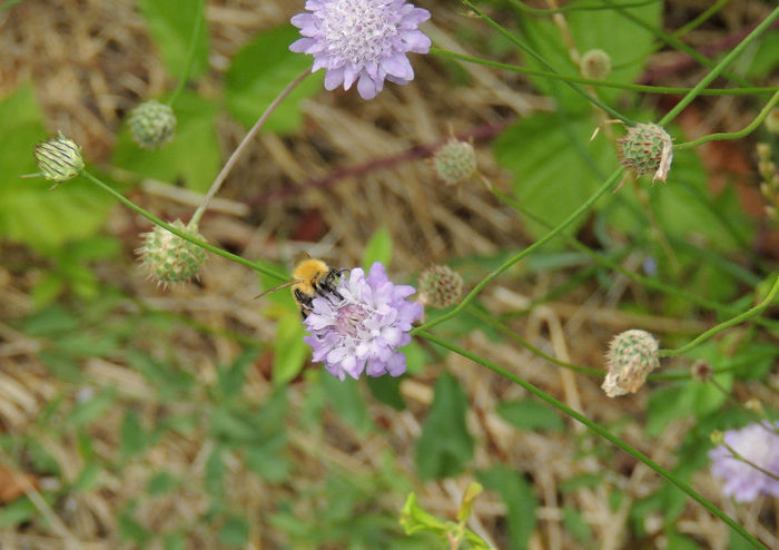 DSCN5884