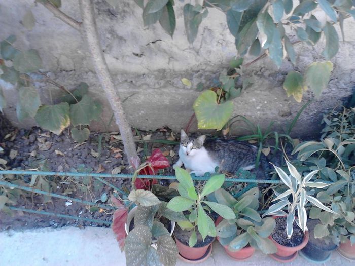 FB_IMG_13770075387549126