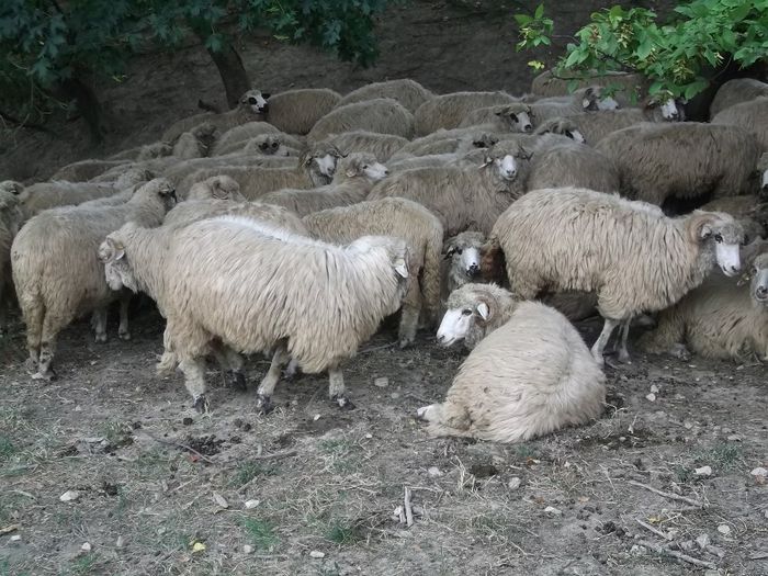 Picture 045 - 1 miori 2013