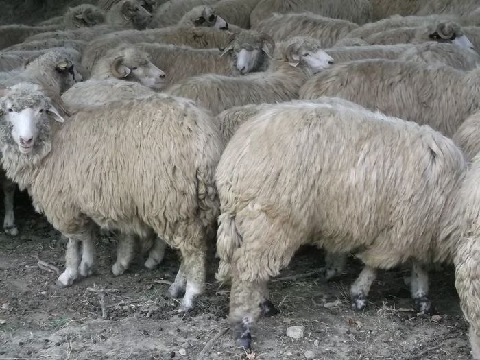 Picture 046 - 1 miori 2013