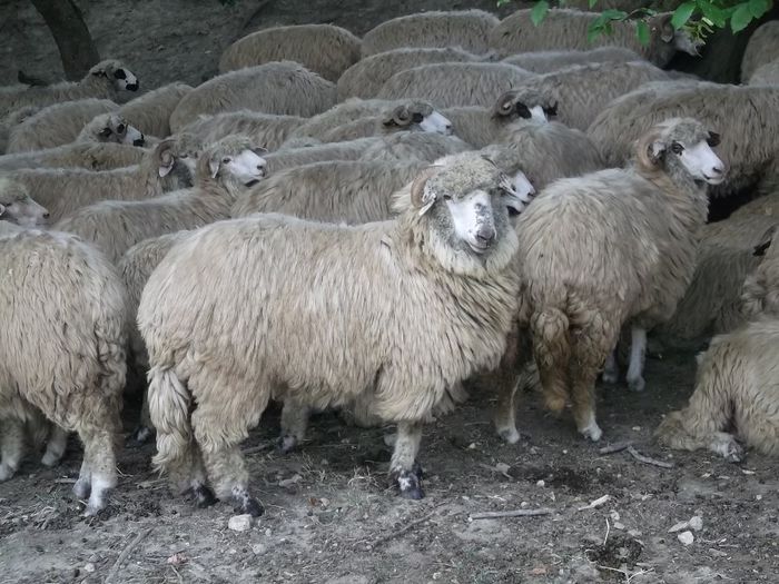 Picture 047 - 1 miori 2013