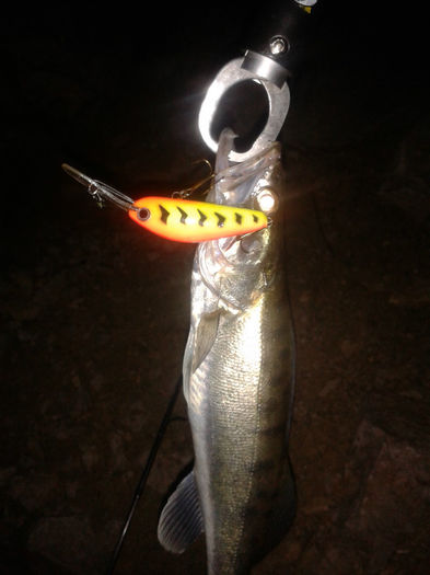 Hot tiger de 6 cm deep floating - Capturi voblere Artistul Pescar