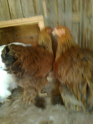 Foto 14