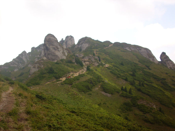 IMG_0881; Munţii Ciucaş.
