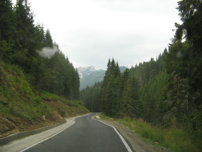 IMG 0192; Drum asfaltat de la lacul Bolboci la Padina.
