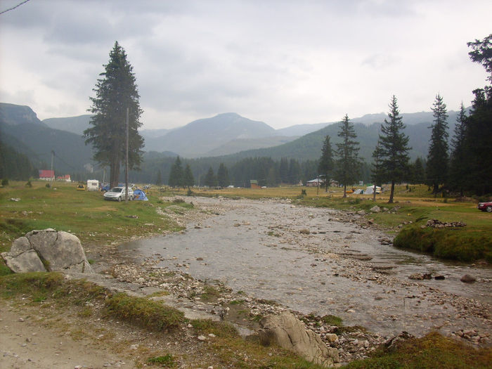 IMG 0194; Zona Padina.
