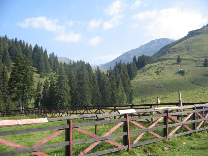 IMG 0195; Zona Padina.Atenţie la urşi!
