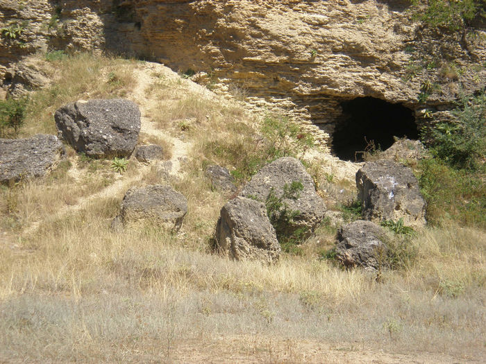 Acele Piatre negre de fapt nu sunt pietre ele sunt <<ceva>>  in care sau fosilizat scoicile pt ca  a