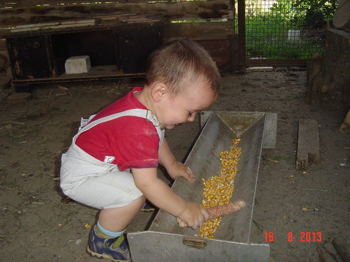 Picture 345