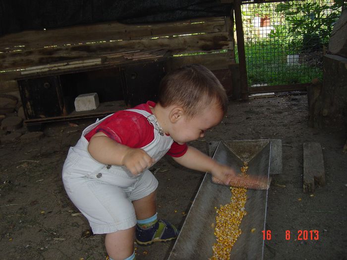 Picture 346