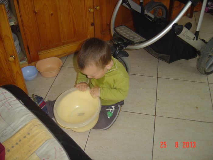 Picture 381