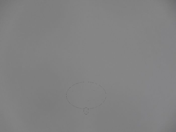 Pe Orice Vreme Porumbeii Rezista !!!26.08.013 - F- PUI 2013