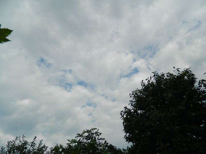 DSCN0417 - AUGUST 2 2013