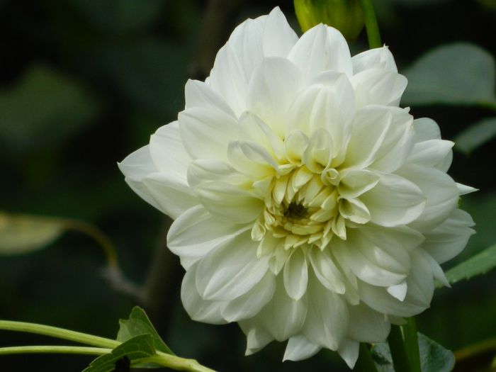 DSCN0506 - AUGUST 2 2013