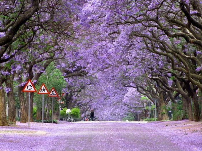 tunel-africa-de-sud - MAGIA NATURII