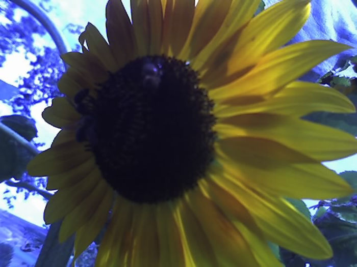 26-08-13_1435