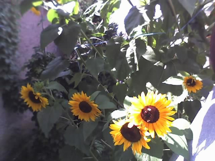26-08-13_1441