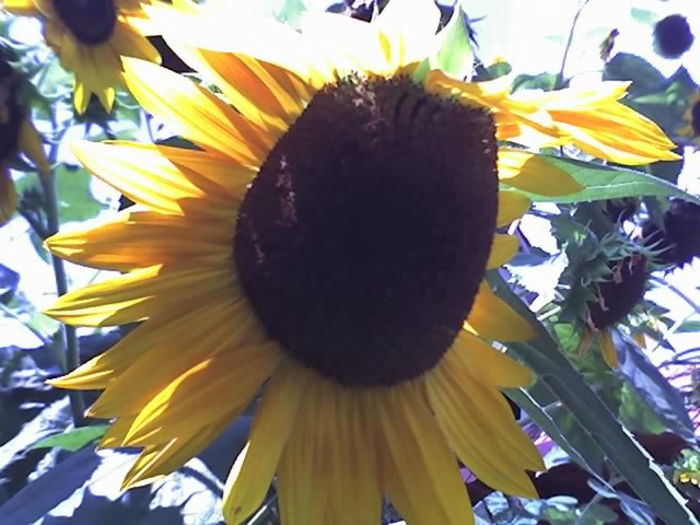 26-08-13_1448