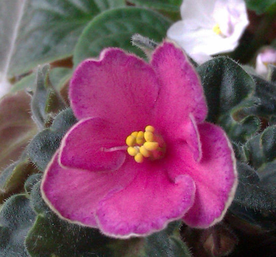 IMAG0568_2