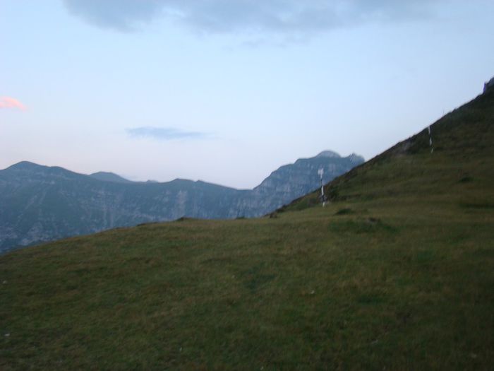 DSC00394