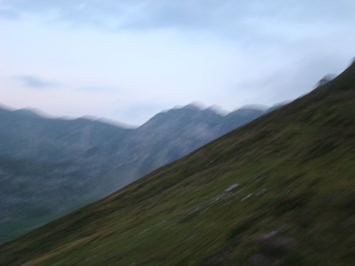 DSC00397