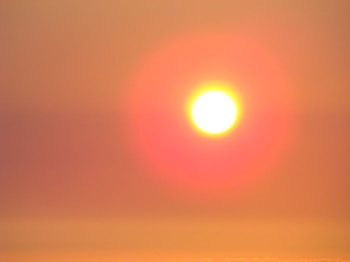DSC00423