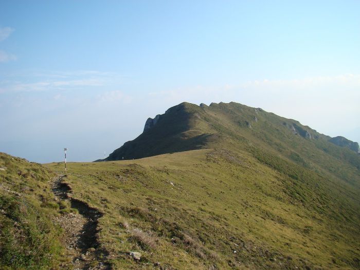 DSC00426