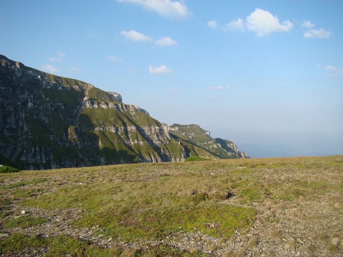 DSC00429