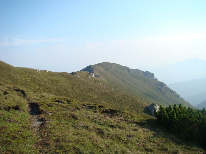 DSC00430
