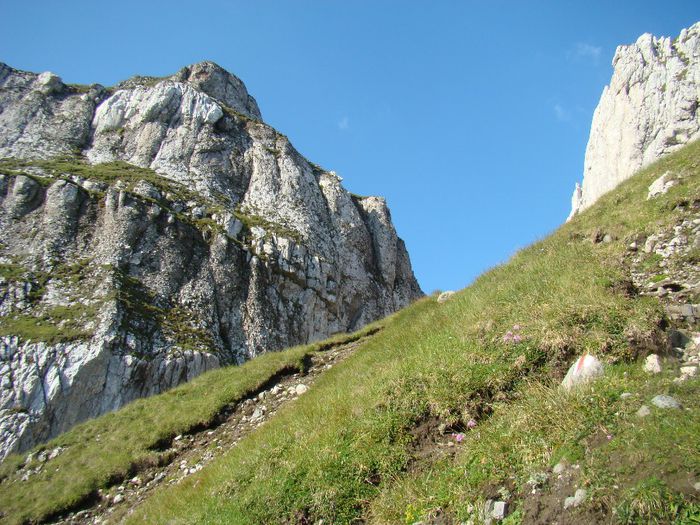 DSC00436