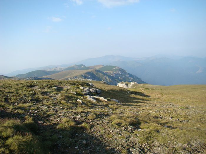 DSC00439