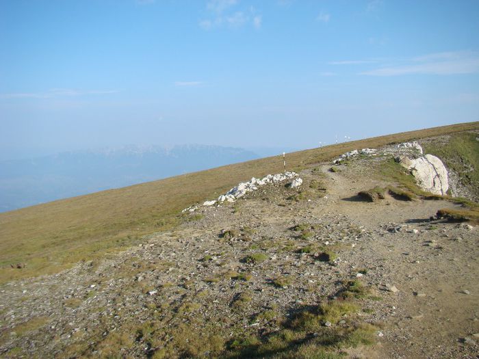 DSC00441