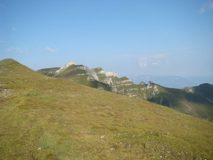 DSC00447