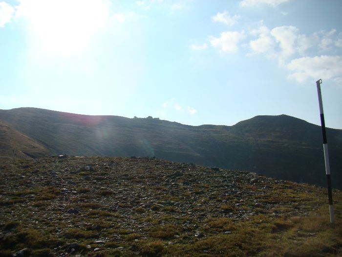 DSC00449
