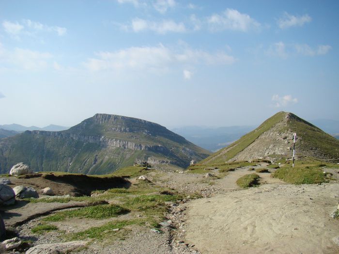 DSC00452
