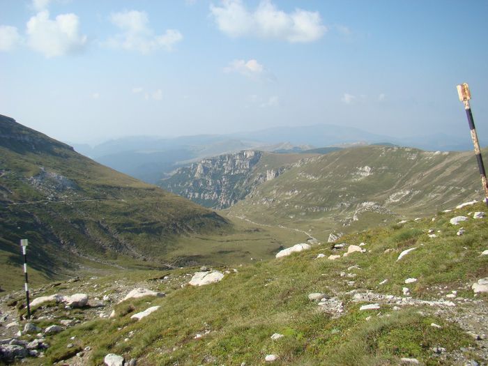 DSC00453