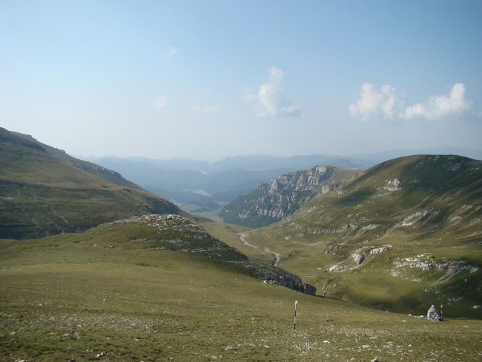 DSC00458