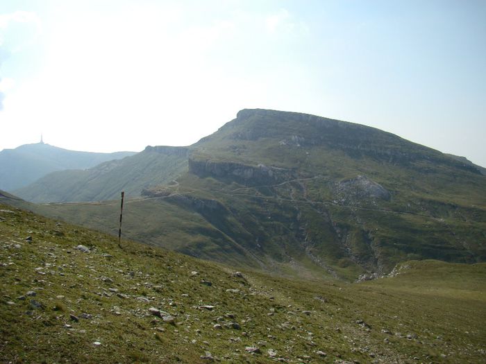 DSC00459